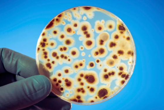 滿足19083標(biāo)準(zhǔn)的醫(yī)用口罩適合性試驗(yàn)室測(cè)試方法供參考